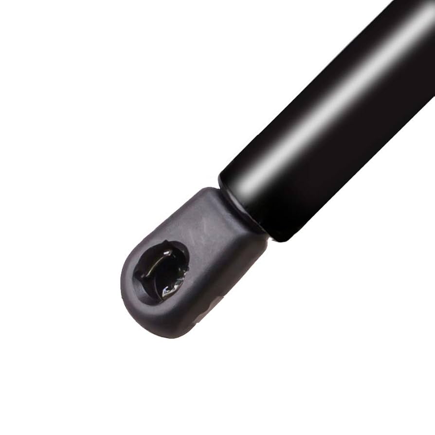 ひー　(パイン) HTZ-2-04000000-BACK.jpg